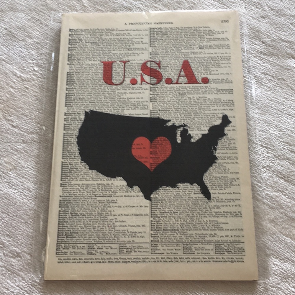 NWT Vintage Dictionary Art U.S.A. ❤️